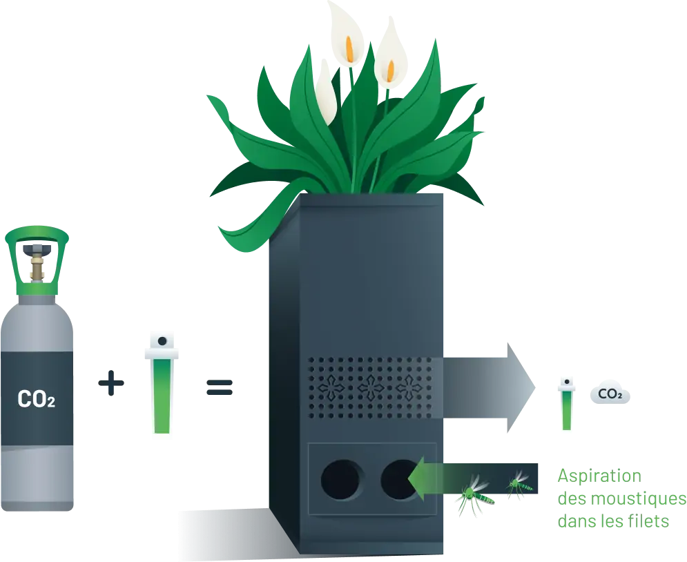 schéma fonctionnement boîte à moustiques